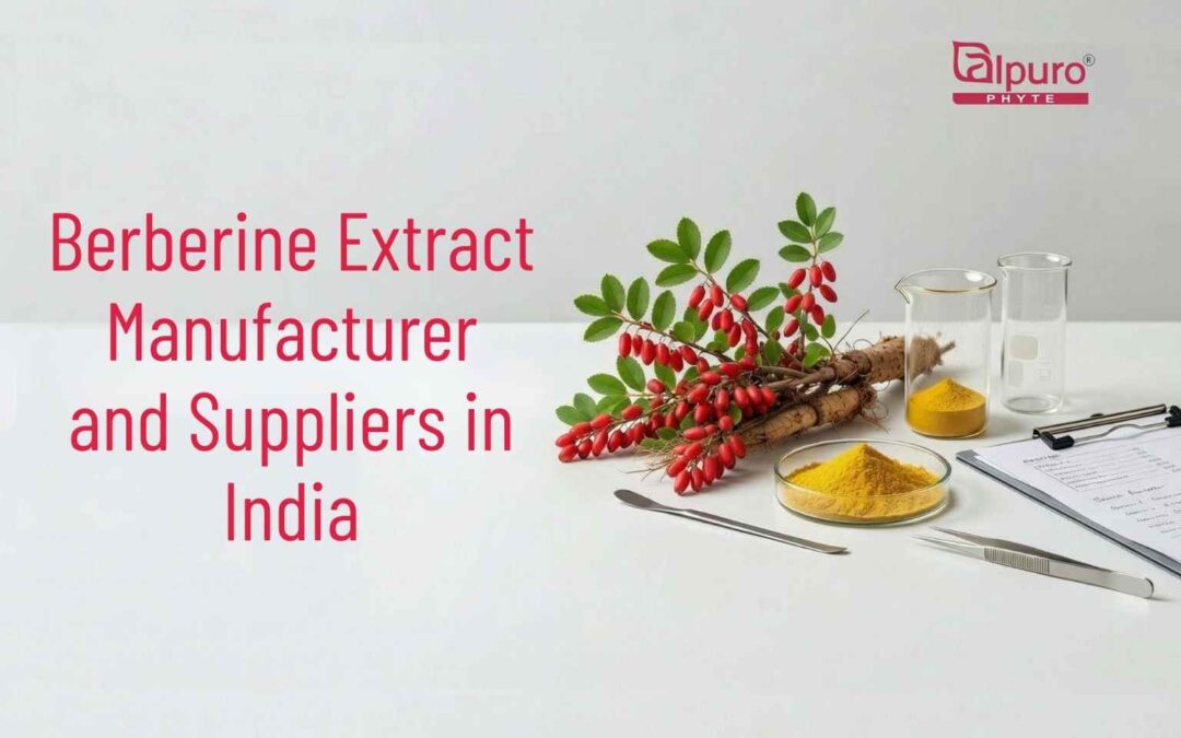 Berberine Extract Supplier in India